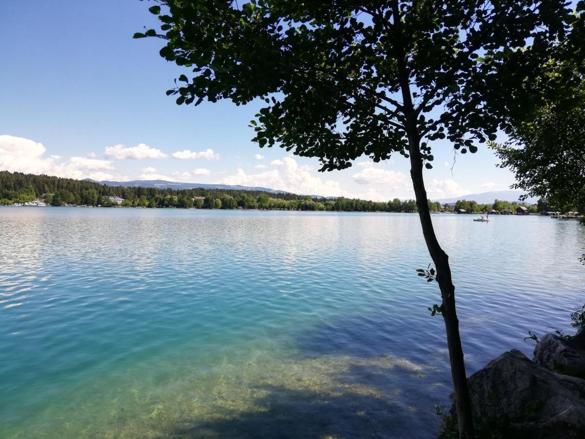 Ferienwohnung Duernberger Liebenfels Экстерьер фото